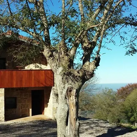 Casuca Pico Jiniro *