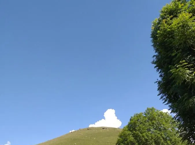 Casuca Pico Jiniro * Abionzo